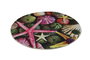 Mijölnir Estrella 120 Alfombrilla de Baño Multicolor